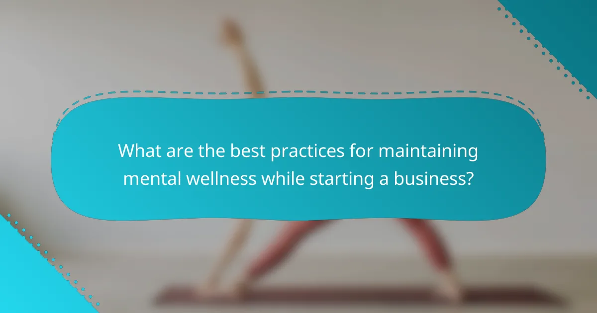 What are the best practices for maintaining mental wellness while starting a business?