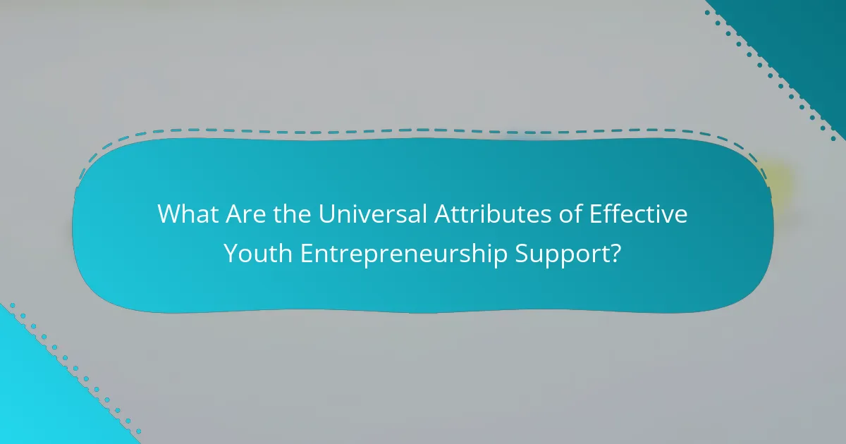 What Are the Universal Attributes of Effective Youth Entrepreneurship Support?