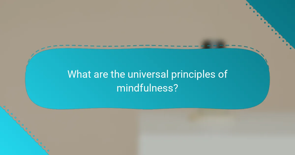 What are the universal principles of mindfulness?